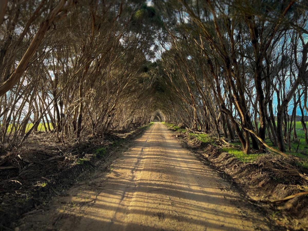 Cabn Kangaroo Island Penneshaw Zewnętrze zdjęcie